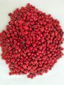Madatiya Seeds Adenanthera Pavonina 100% Ceylon Organic Natural Sri Lanka New 50 seeds pack in daraz flyer. 