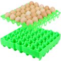 Plastic Egg Tray Egg Holder. 