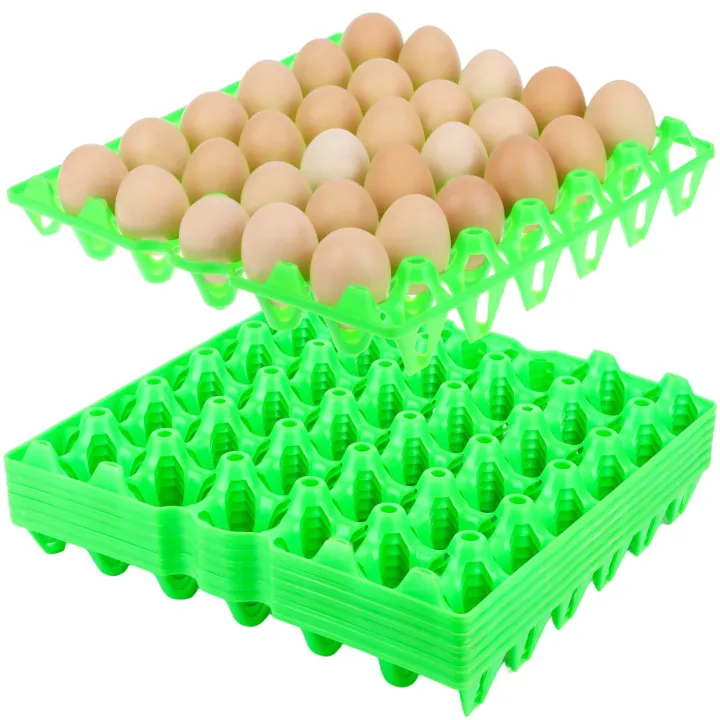 Plastic%20Egg%20Tray%20Egg%20Holder%20-%20Image%204
