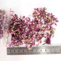 【Folio & Light】Dried Flower Purple Gomphrena Globosa Petals For Diy Epoxy Resin Molds Jewelry Handmade Soap Making Accessories 10g/bag. 