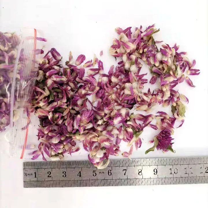 %E3%80%90Folio%20&%20Light%E3%80%91Dried%20Flower%20Purple%20Gomphrena%20Globosa%20Petals%20For%20Diy%20Epoxy%20Resin%20Molds%20Jewelry%20Handmade%20Soap%20Making%20Accessories%2010g/bag%20-%20Image%205