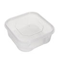 1/5/10pcs Transparent Butter Cheese Storage Box Portable Refrigerator Fruit Vegetable Fresh Keeping Kitchen Storage Boxes. 