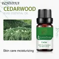 10ml Essential Oil Soothing Non-irritating Hydration Plant Extract Body Care Tool Exquisite Cedar Skin Essential Oil for Relaxing. 