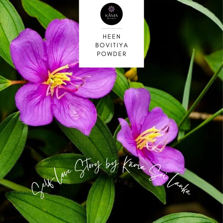 KAMA HEEN BOVITIYA POWDER - 50G