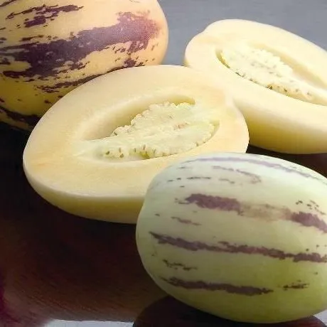 Papino%20mellon%20helthy%20fruit%20plant%203%20plant%20-%20Image%202