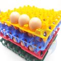 Plastic Egg Trays for Storage with 30 Eggs Holder, for Refrigerator, IncubatorPoultry Egg Tray (28 x 28 x 5) cms. 