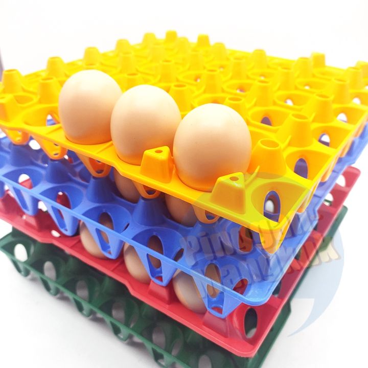 Plastic%20Egg%20Trays%20for%20Storage%20with%2030%20Eggs%20Holder,%20for%20Refrigerator,%20IncubatorPoultry%20Egg%20Tray%20(28%20x%2028%20x%205)%20cms%20-%20Image%204