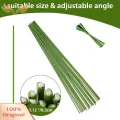SuperRide Plant Stick for Garden Flexible Metal Plant Support Sticks for Orchids Peonies Roses Set of 20 Strong Growth Stakes for Potted Plants Favorite Adjustable Plant Support. 