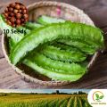 දඹල Winged Bean 10 Seeds for Natural Organic Farming Vegetable, Fruit & flower Dambala Dabala Seed. 