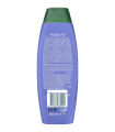 Palmolive Anti-Dandruff Shampoo 350ml. 