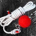 Meteor Hammer Solid Rubber Martial Arts Weapon Square Dance Middle-Aged and Elderly Fitness Double Ball Nine-Section Whip Practice Baijia Rope Whip. 