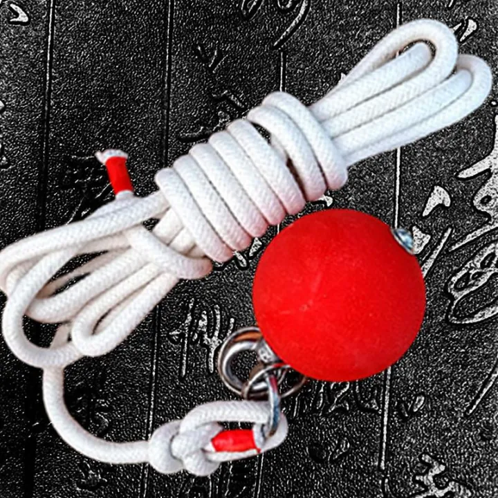 Meteor%20Hammer%20Solid%20Rubber%20Martial%20Arts%20Weapon%20Square%20Dance%20Middle-Aged%20and%20Elderly%20Fitness%20Double%20Ball%20Nine-Section%20Whip%20Practice%20Baijia%20Rope%20Whip%20-%20Image%205