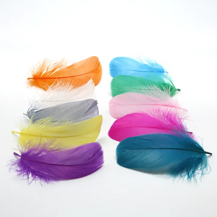 50Pcs/lot%20Natural%20Feathers%208-13cm%20Small%20Floating%20Goose%20Feather%20Colorful%20Feathers%20Plume%20For%20Decoration%20Plumes%20Craft%20-%20Image%206