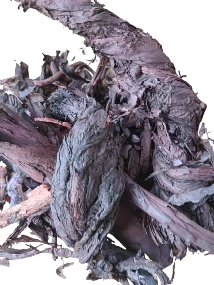 Vembalam%20Pattai%20%7C%20Alkanet%20Root%20%7C%20Vembada%20%7C%20%E0%AE%B5%E0%AF%87%E0%AE%AE%E0%AF%8D%E0%AE%AA%E0%AE%BE%E0%AE%B3%E0%AE%AE%E0%AF%8D%20%E0%AE%AA%E0%AE%9F%E0%AF%8D%E0%AE%9F%E0%AF%88%20%7C%20For%20Hair%20Growth%20%7C%20%E0%AE%B5%E0%AF%87%E0%AE%AE%E0%AF%8D%E0%AE%AA%E0%AE%BE%E0%AE%B2%E0%AE%AE%E0%AF%8D%20-%2050g%20-%20Image%203