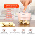 Mini Garlic Grinder Electric Garlic Chopper Cordless Food Fruit Vegetable Blender Kitchen Gadgets 100ML USB Rechargeable. 