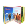Kids Educational 5 Mini Books. 