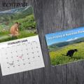 Puppy Pooping Calendar 2024 Exquisite Pattern Wall Calendar Thick Sturdy Paper Fade-resistant Full Page Months Perfect for Dog Lovers in Southeast Asia Dog Poop Calendar. 