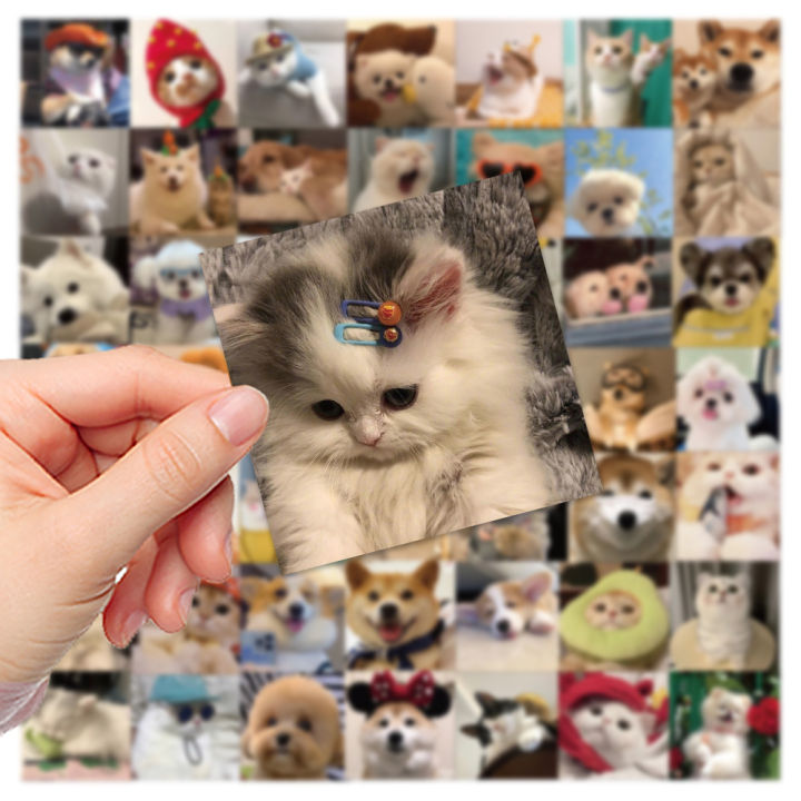10/30/52PCS Cute Dog Cat MEME Stickers PVC Waterpoof Decals DIY Laptop ...