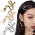 2/3Pcs New Gothic Punk Metal Snake Medusa Hairpin Hair Clip for Women Side Bangs Holder Girls Retro Barrettes Jewelry Headwear. 