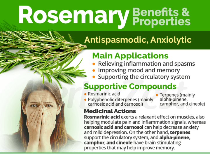 Dried%20Rosemary%20Leaves%20-%2020g%20Pack%20of%20100%25%20Natural%20Herbal%20Seasoning%20-%20Image%204