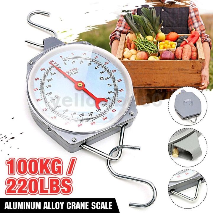 100KG Hanging Scale Weighing Butchering Weight Scale Digital Kitchen Food Weighing Scale