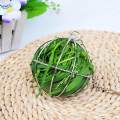Hung Ball Shape Feeder Toy Stainless Steel Grass Rack for Chicken Hamster Rat. 