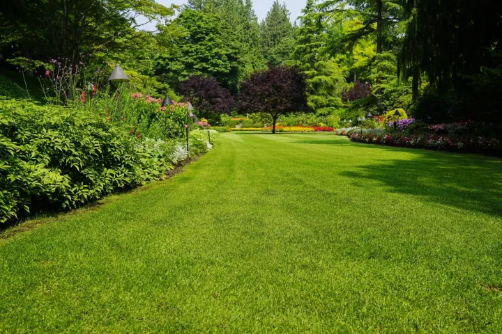 Organic%20Fertilizer%20for%20Grass%20Thanakola%20Pohora%20%E0%B6%AD%E0%B6%AB%E0%B6%9A%E0%B7%9C%E0%B7%85%20%E0%B6%B4%E0%B7%9C%E0%B7%84%E0%B7%9C%E0%B6%BB%201.5kg%20-%20Image%203