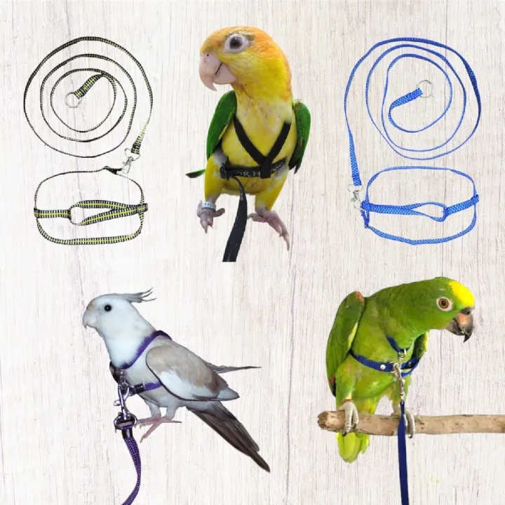 Adjustable Bird Harness With Leash Parrot Harness Pigeon Harness 145cm Length Leash