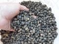 Goat Dung Compost Fertilizer Agriculture Home Garden 2KG. 