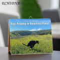 Puppy Pooping Calendar 2024 Exquisite Pattern Wall Calendar Thick Sturdy Paper Fade-resistant Full Page Months Perfect for Dog Lovers in Southeast Asia Dog Poop Calendar. 