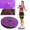 Twist Waist Torsion Disc Board Household Body Building Fitness Equipment Home Weight Loss  Portable  Board Fitness Plate Twisters Wobble Boards Physio Balance Pad Massage Balance Board Balance Board Exercise,Balance Board Fitness Twister,Fitness Stair Ste. 