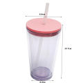 16oz Double Layer Plastic Straw Cup Borderless Creative Portable Carrying Cup. 