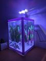 Large glass fish tank , white colour boder stiker.(12L Aquarium tank,Height 40cm,width 30cm x 30cm). 