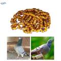 100Pcs 2024 Pigeon Aluminium Dove Leg Rings Accessories Lightweight Inner. 
