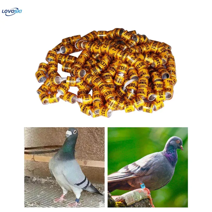 100Pcs%202024%20Pigeon%20Aluminium%20Dove%20Leg%20Rings%20Accessories%20Lightweight%20Inner%20-%20Image%207