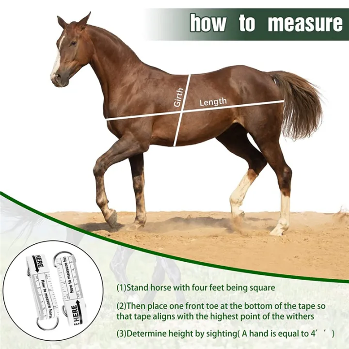 Horse%20Height%20Weight%20Tape%20Horse%20Measuring%20Tape%20PVC%20Horse%20Measuring%20Stick%20Livestock%20Body%20Measuring%20Tool,%208.2%20Feet%20Long%20-%20Image%207