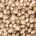 Jumbo Chickpeas කඩල 1kg. 