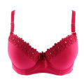 Plunge Bra Padded. 