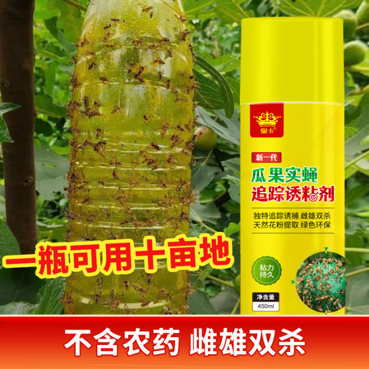 Fruit%20fruit%20fly%20adhesive%20attractant%20fruit%20fly%20trap%20insect%20attractant%20insecticidal%20yellow%20board%20double-sided%20adhesive%20insect%20board%20needle%20killer%20bee%20-%20Image%204