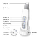 Beauty Star Ultrasonic Face Cleaner Skin Scrubber Ultrasound Vibration Massager Ultrasound Peeling Clean Tone Lift Scrubber. 