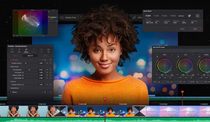 Blackmagic Design DaVinci Resolve Studio 14 to 17 Version Software Collection Pack