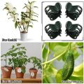 Durable Orchid Flower Support Plant Clips Vine Grafting Supplies Garden Tools Orchid Clips 6-Claw Plastic Butterfly Clamp Fruit Vegetable Stem. 