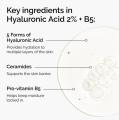The Ordinary Hyaluronic Acid 2% + B5 30ml. 