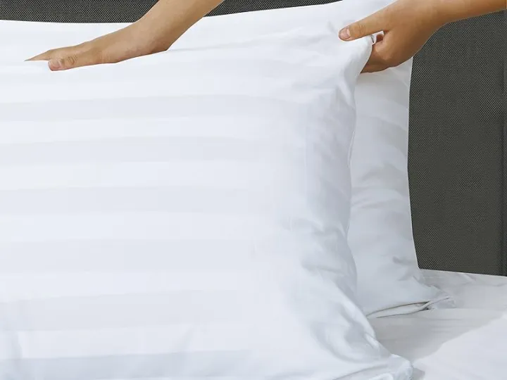 Pillow%20Protector%2020x30%20Size%20100%25%20Egyptian%20Cotton%20Pillow%20Covers,%20Weave%20Cooling%20Pillow%20Cases%20with%20Zipper%20Hidden,%20Breathable%20Non%20Noisy%20Easy%20Care,%202%20Peices%20-%20Image%205