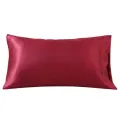 Pillow Cases Pillow Covers 20"x 30" 1 Pair. 