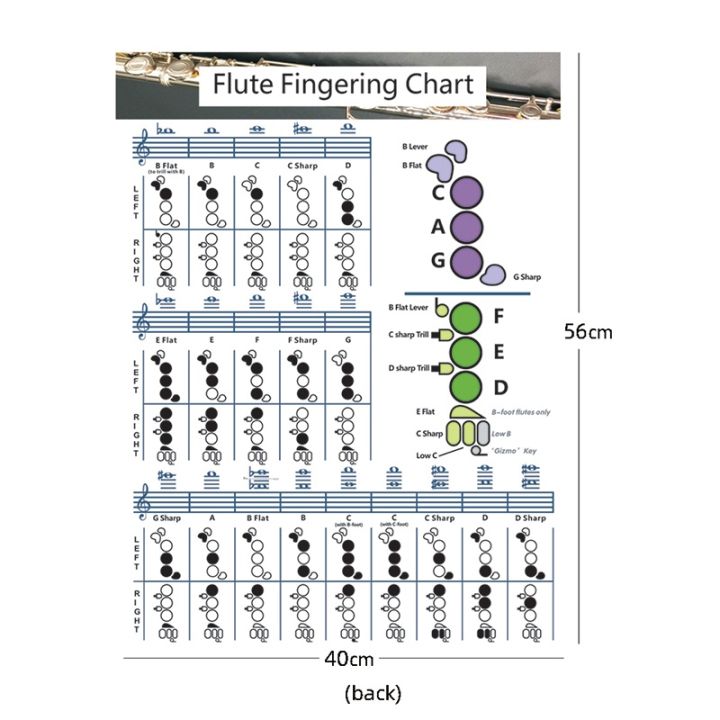 Flute%20Fingering%20Chart%20Flute%20Chord%20Chart%20Paper%20Flute%20Chords%20Poster%20(L)%20-%20Image%208
