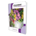 Colouray B5 Exercise Book - 120pgs - Singe Rule. 