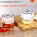 Mini Garlic Grinder Electric Garlic Chopper Cordless Food Fruit Vegetable Blender Kitchen Gadgets 100ML USB Rechargeable. 