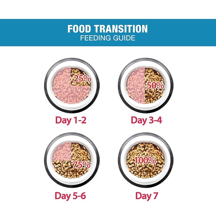 Me-O%20Dry%20Kitten%20Food%20-%20Ocean%20Fish%20Flavor%20-%20Image%204