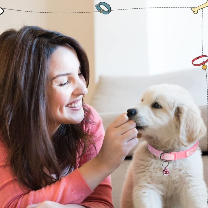 Pet%20Accessories%20Polyester%20Cat%20Harness%20and%20Leash%20Set%20with%20Bell%20Colorful%20Dog%20Harness%20Belt%20Detachable%20Paw%20Pattern%20Puppy%20Halter%20Kitten%20-%20Image%207